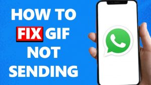 WhatsApp无法发送GIF的原因及解决步骤