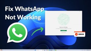 WhatsApp无法在电脑上使用的原因及解决步骤