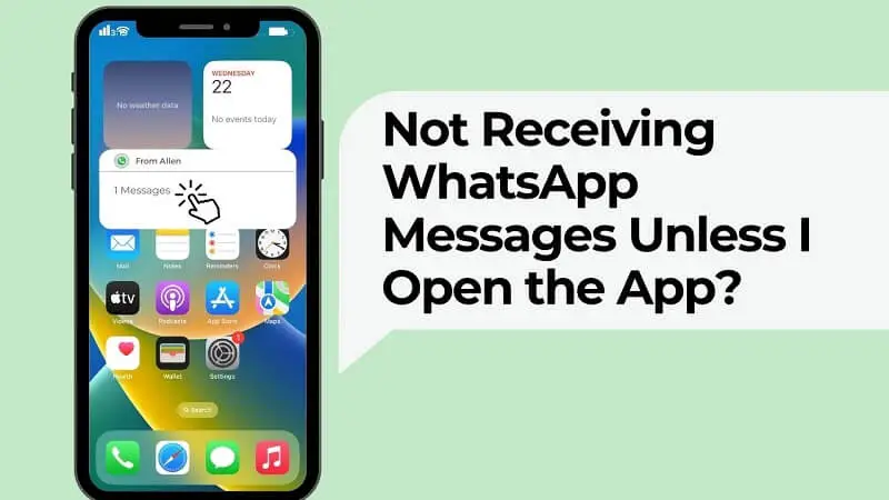 WhatsApp群聊通知无法接收